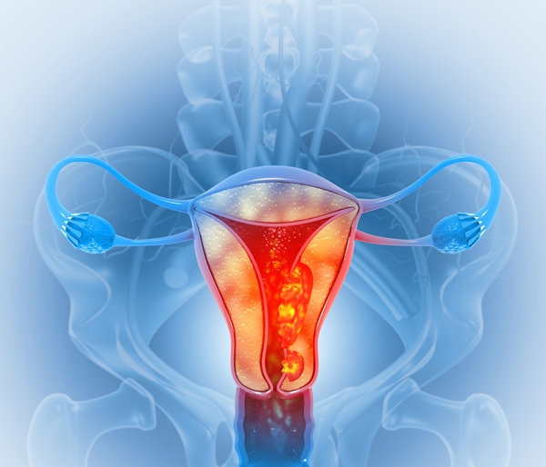 Aparato reproductor femenino.
