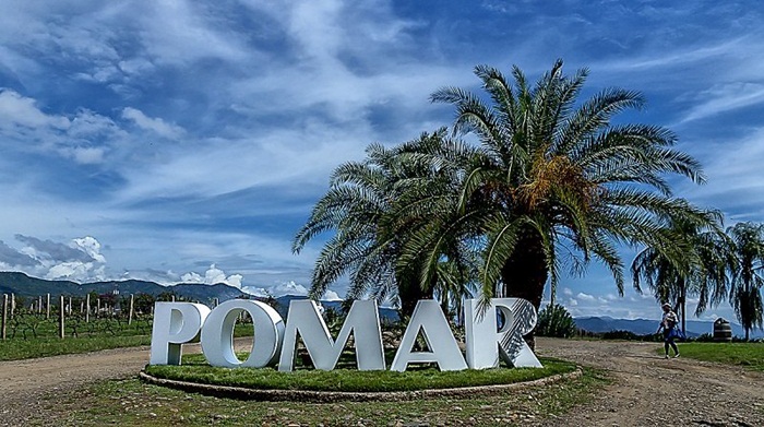 Bodegas Pomar celebra su primera vendimia en 2020