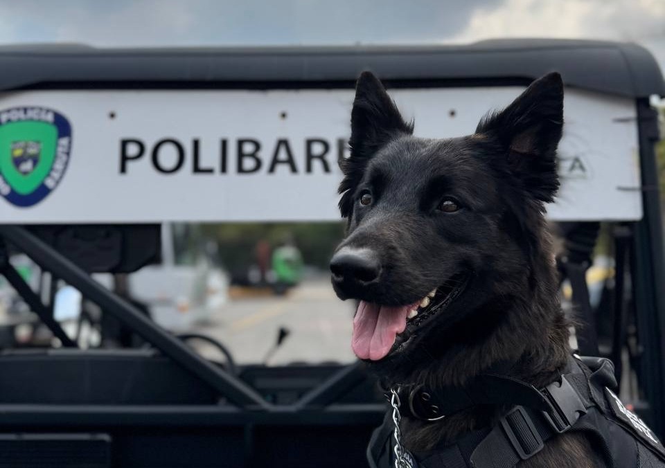 PoliBaruta creó Brigada Canina y refuerza seguridad vial.